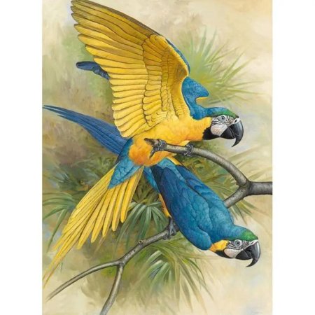 Basil ede птицы