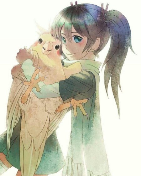 Аниме попугай