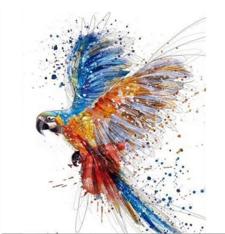 Попугай акварелью