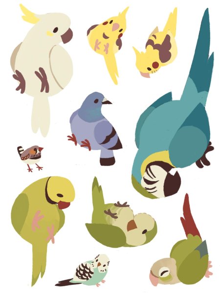 Попугай референс