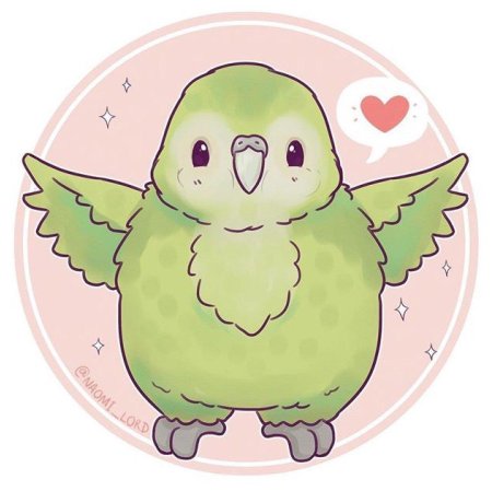 Наоми лорд попугаи