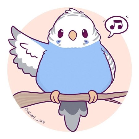 Наоми лорд попугаи