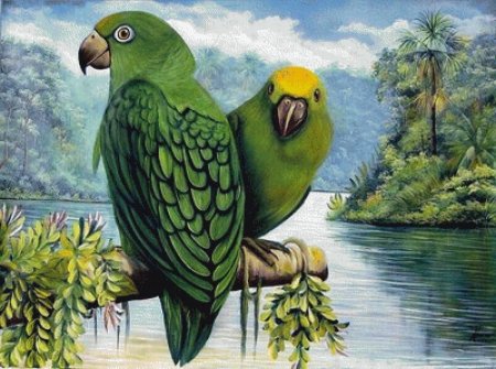 Попугай живопись