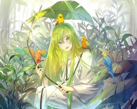 Волнистый попугайчик аниме