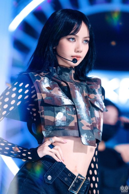 Лиса блэк пинк