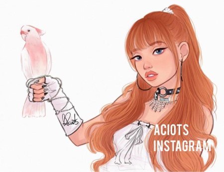 Раскраска блэк пинк лиса