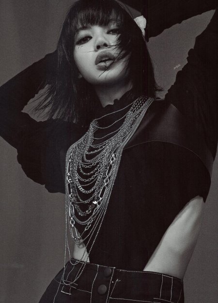 Лиса из блэк пинк