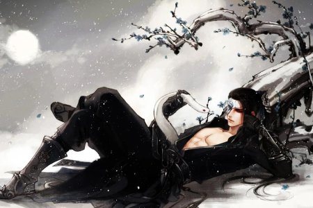 Художница feimo