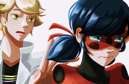 Miraculous ladybug cat noir