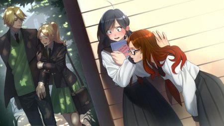 Эдриан леди баг аниме