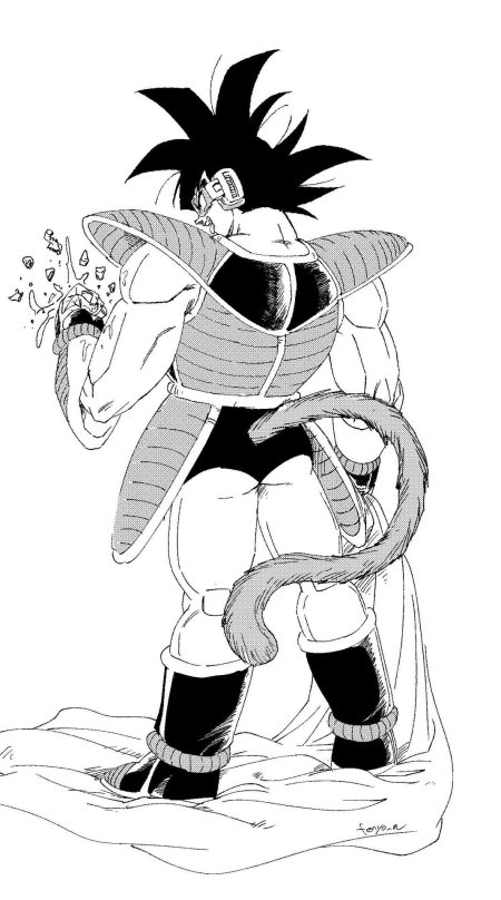 Драконий жемчуг бардок отец гоку