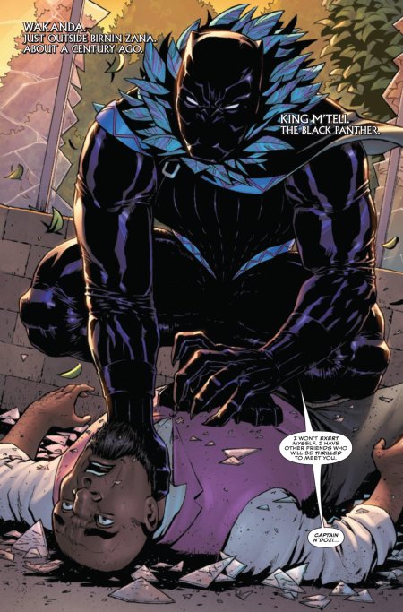 Black panther marvel