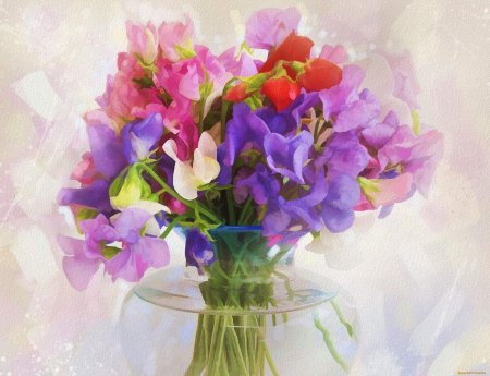 Душистый горошек маммут