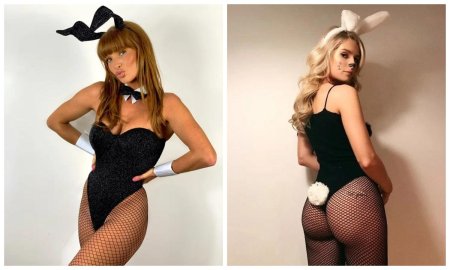 Кролик плейбой