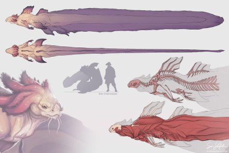 Аксолотль референс