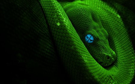 Зеленый питон