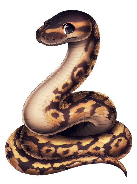Змеи питон арт