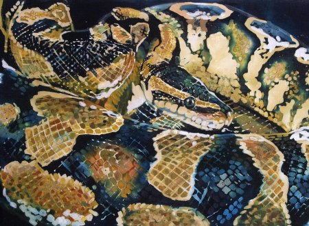 Питон королевский