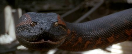 Анаконда фильм 1997