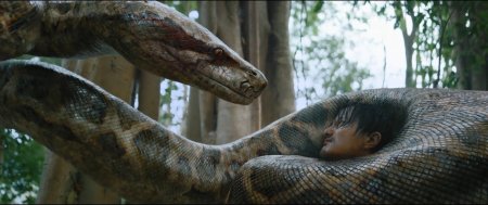 Анаконда змея