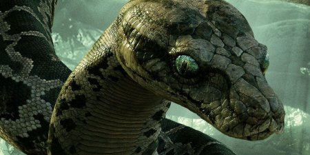 Питон каа книга джунглей 2016