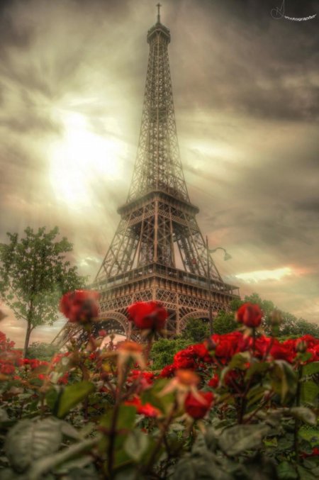 Франция эйфелева башня