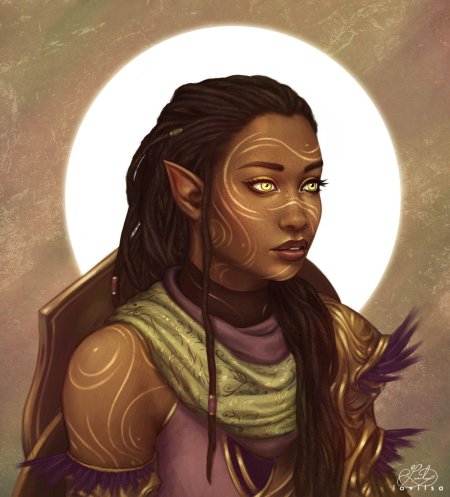 Черные эльфы