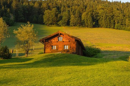 Дом в деревне