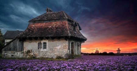 Домик в поле