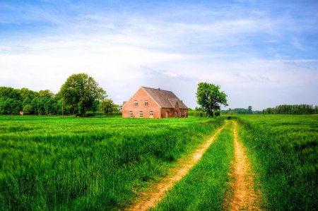 Домик в поле