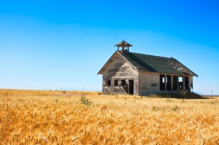 Пшеничное поле с домиком