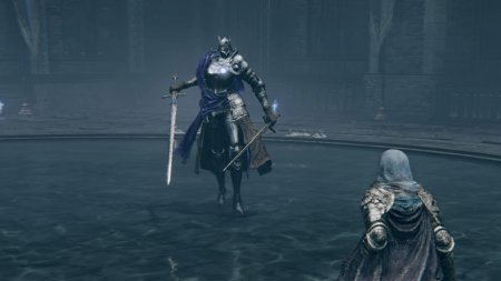 Реллана рыцарь двойной луны