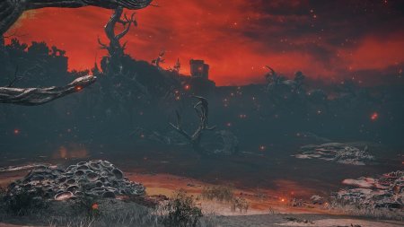 Elden ring shadow of the erdtree