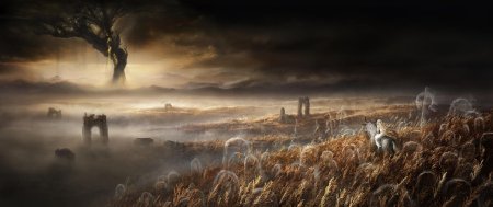 Elden ring shadow of the erdtree