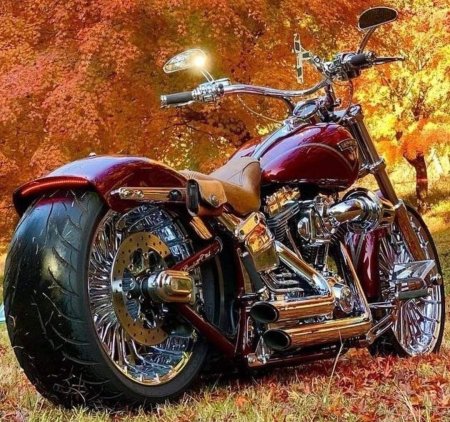 Breakout harley davidson