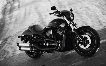 Мотоциклы harley davidson night rod