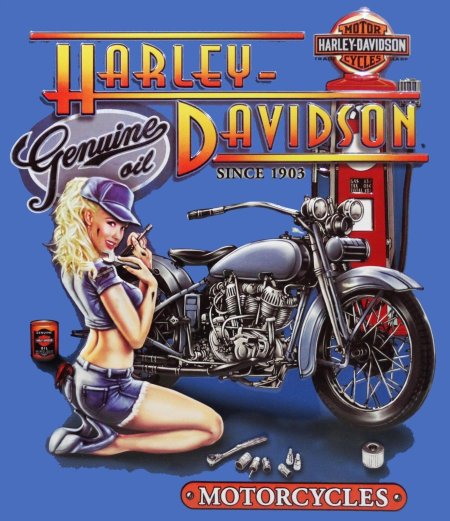 Harley davidson s