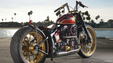 Мотоцикл harley davidson custom