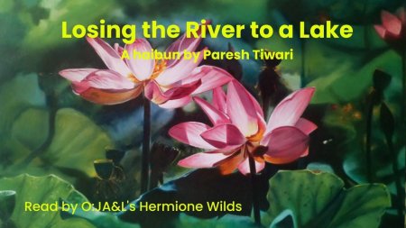 Wu furong лотос живопись