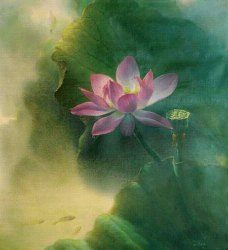 Цзян дебин лотосы