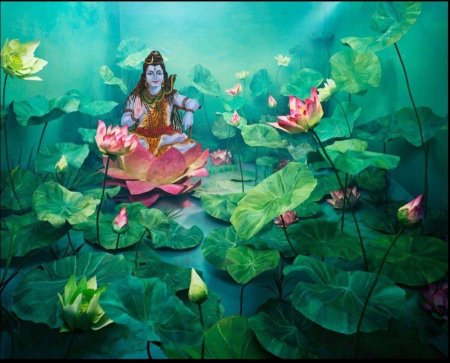 Озеро лотосов батик