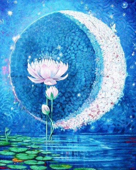 Лунный лотос геншин