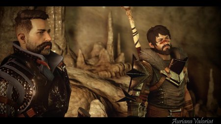 Гаррет хоук dragon age