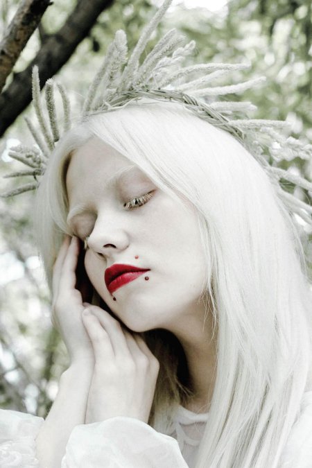 Анастасиз винней альбинос