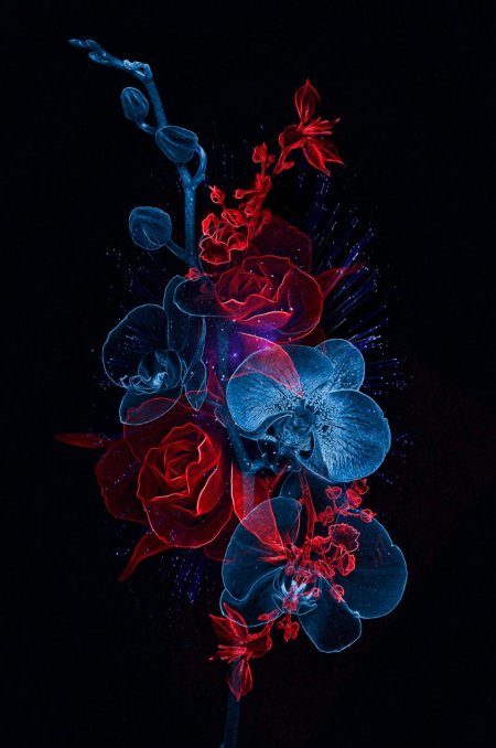 Абстрактные цветы