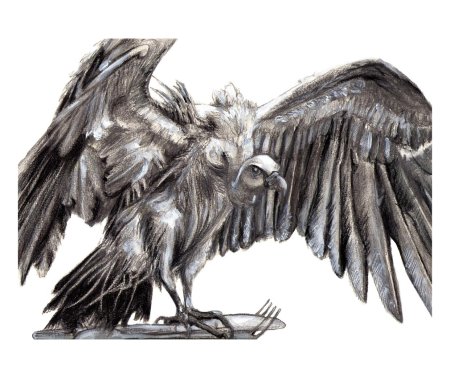 Гриф стервятник арт