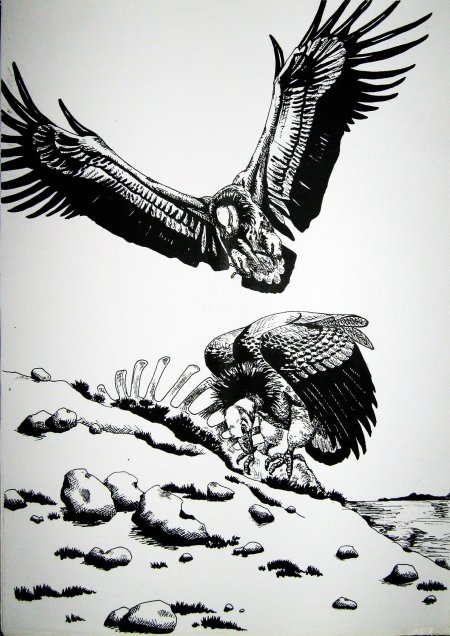 Стервятник эскиз