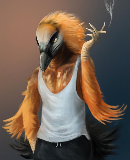 Стервятник арт фурри