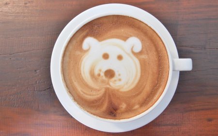 Медвежонок в капучино