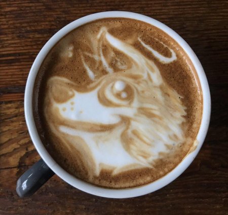 Рисунки на латте